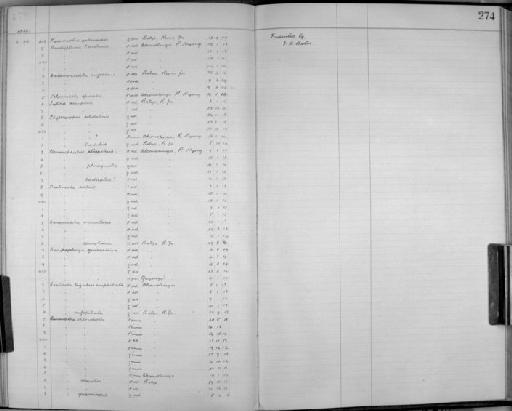 Cisticola galactotes nyansae/amphilecta - Zoology Accessions Register: Aves (Skins): 1916 - 1920: page 274