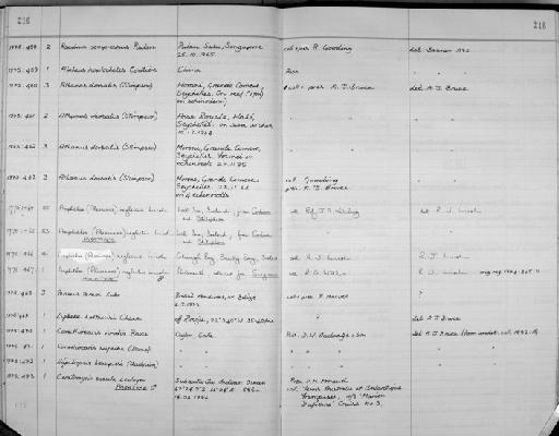 Racilius compressus Paulson, 1875 - Zoology Accessions Register: Crustacea: 1969 - 1976: page 216