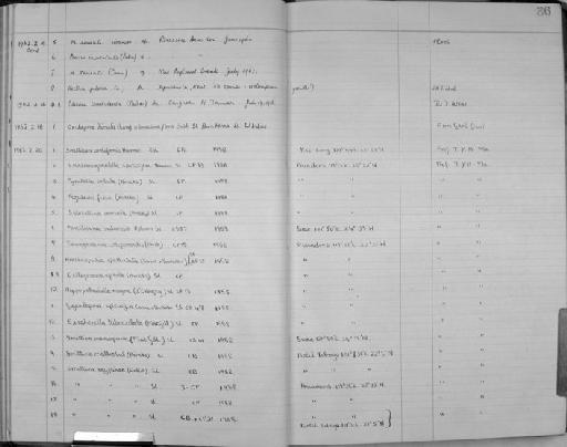 Membranipora savartii (Canu) - Zoology Accessions Register: Bryozoa: 1950 - 1970: page 36