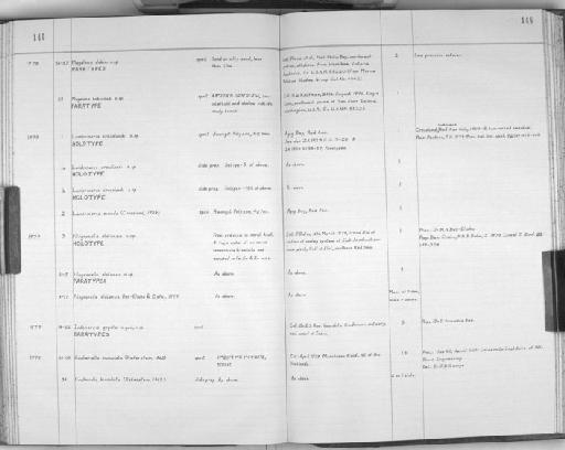 Caulleriella bioculata Keferstein, 1862 - Zoology Accessions Register: Polychaeta: 1967 - 1989: page 146