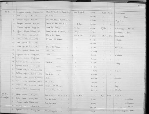 Sertularia distans (Lamouroux, 1816) - Zoology Accessions Register: Coelenterata: 1981 - 1992: page 159