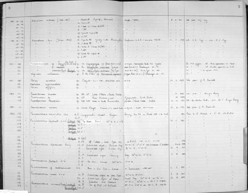 Paradoxostoma fleetense Horne & Whittaker, 1985 - Zoology Accessions Register: Crustacea (Entomostraca): 1982 - 1993: page 8