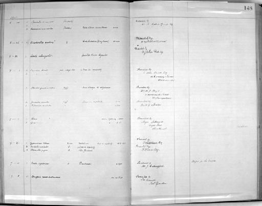 Pyrrhula pyrrhula murina Godman, 1866 - Zoology Accessions Register: Aves (Skins): 1902 - 1904: page 148
