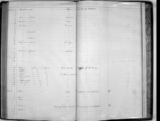 Phascolosoma nigriceps Baird, 1868 - Zoology Accessions Register: Mollusca: 1847 - 1849: page 224