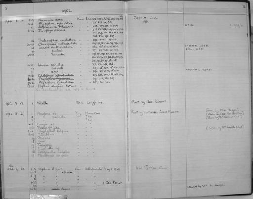 Lensia fowleri (Bigelow, 1911) - Zoology Accessions Register: Coelenterata: 1951 - 1958: page 5