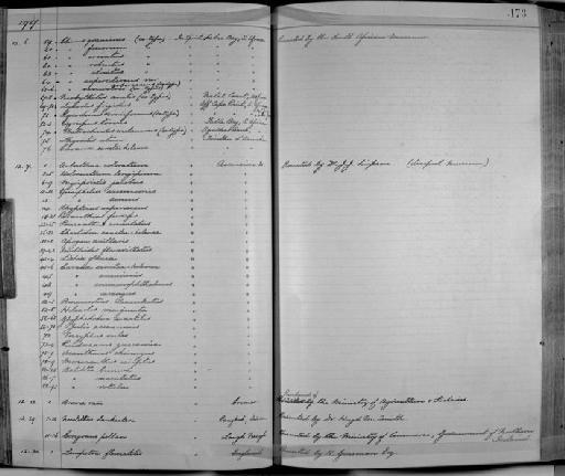 Glyphisodon saxatilis - Zoology Accessions Register: Fishes: 1912 - 1936: page 173