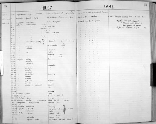 Latreutes fucorum (Fabricius, 1798) - Zoology Accessions Register: Crustacea: 1935 - 1962: page 65