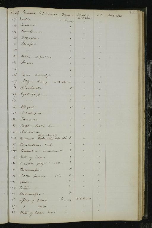 Bison bonasus priscus Bojanus, 1827 - NHM-UK_P_DF118_02_01_0205