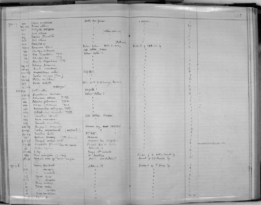 Diplommatina radiiformis Preston, 1913 - Zoology Accessions Register: Mollusca: 1911 - 1924: page 140