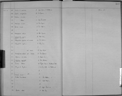 Cribrilina labiosa (Busk) - Zoology Accessions Register: Bryozoa: 1922 - 1949: page 109