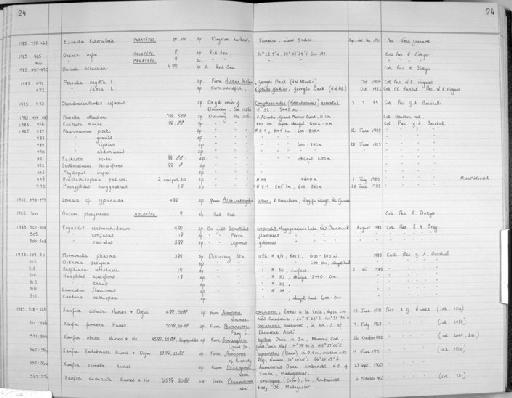 Euchaeta marina (Prestandrea, 1833) - Zoology Accessions Register: Crustacea (Entomostraca): 1982 - 1993: page 24