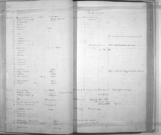 Eutropius obtusirostris Günther, 1864 - Zoology Accessions Register: Mammals: 1841 - 1844: page 54