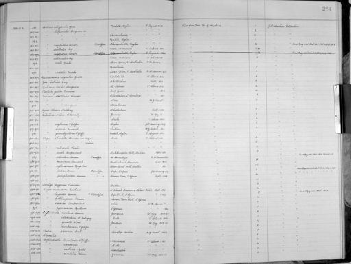 Bulimus rufopictus Benson, 1856 - Zoology Accessions Register: Mollusca: 1938 - 1955: page 254