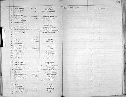 Tingitana tingitana subterclass Tectipleura (Paladilhe, 1875) - Zoology Accessions Register: Mollusca: 1925 - 1937: page 171