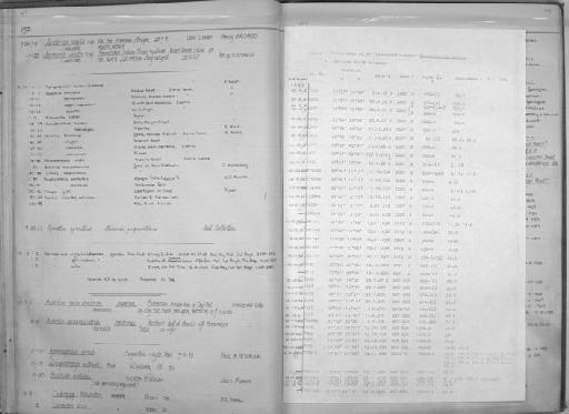 Thoracochromis albolabris Trewavas & van den Audenaerde, 1969 - Zoology Accessions Register: Fishes: 1971 - 1985: page 44