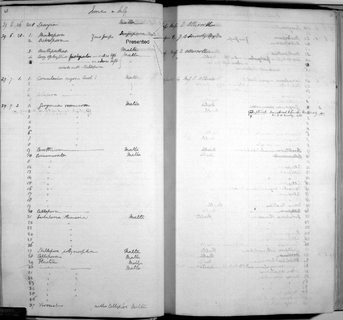 Zoology Accessions Register: Mammals: 1838 - 1840: page 65