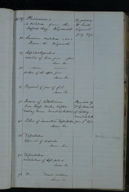 Hypsocormus Wagner, 1860 - NHM-UK_P_DF118_03_06_0245