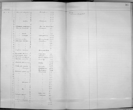 Hirundo albigularis albigularis - Zoology Accessions Register: Aves (Skins): 1884 -1888: page 161