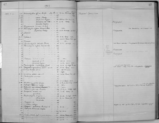 Balanophyllia praecipina - Zoology Accessions Register: Coelenterata: 1934 - 1951: page 67