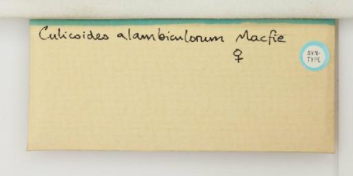 Culicoides alambiculorum Macfie, 1948 - 014898022_additional