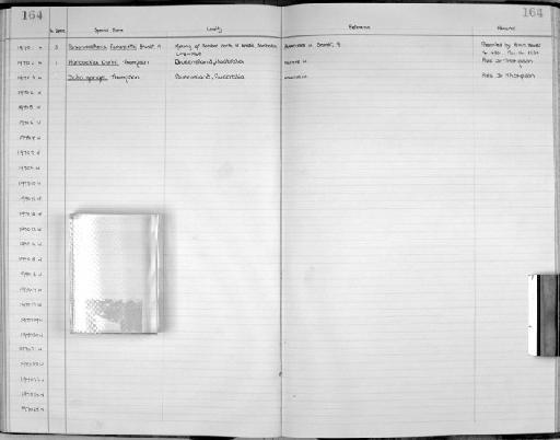 Paraprososthenia fischerpiettei Brandt, 1970 - Zoology Accessions Register: Mollusca: 1956 - 1978: page 164