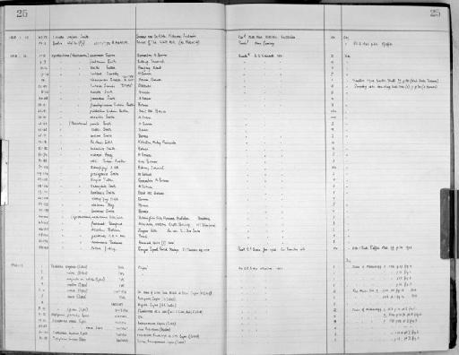 Cyclophorus vescus Sykes, 1899 - Zoology Accessions Register: Mollusca: 1956 - 1978: page 25