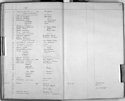 Lepralia quadrata - Zoology Accessions Register: Bryozoa: 1922 - 1949: page 17