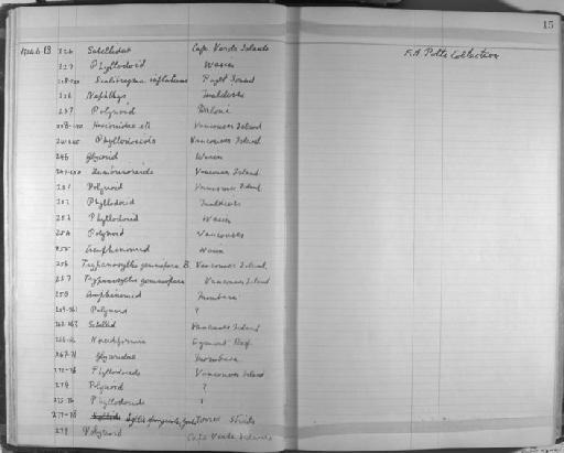 Trypanosyllis gemmipara - Zoology Accessions Register: Annelida & Echinoderms: 1924 - 1936: page 15