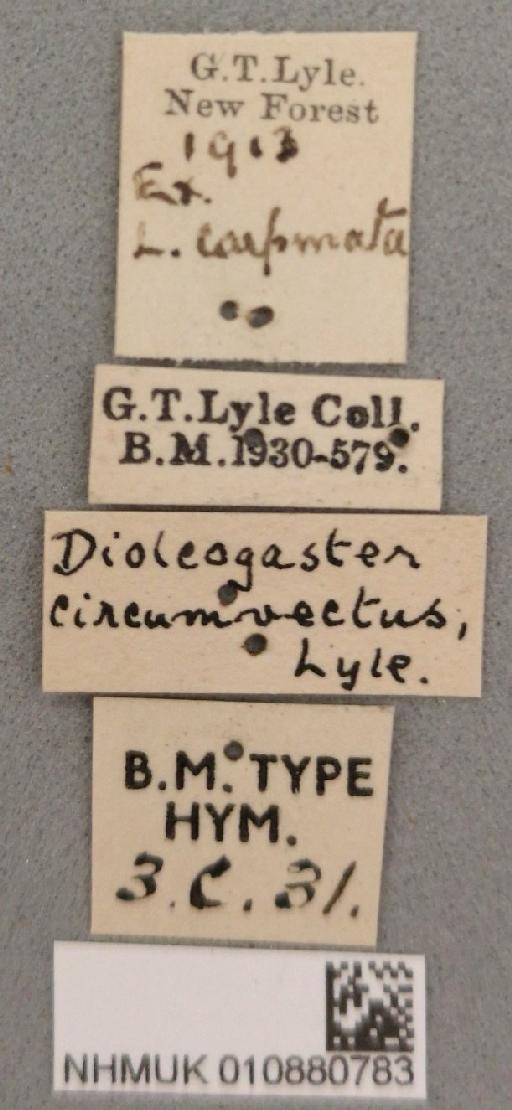 Diolcogaster circumvectus Lyle, 1918 - 010880783_Diolcogaster_circumvectus_labels