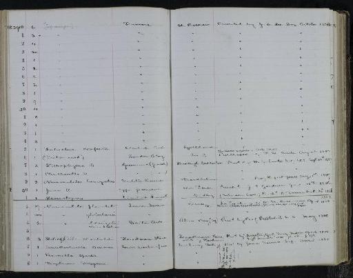 Nummulites planulata Lamarck - NHM-UK_P_DF118_04_01_0217