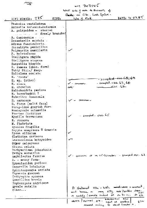 Leucosolenia botryoides (Ellis & Solander, 1786) - Spurrier Mull notes 7 (CSC 47 to 67).jpg