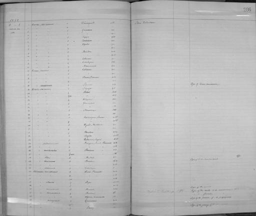 Corvus macrorhynchos philippinus (Bonaparte, 1853) - Zoology Accessions Register: Aves (Skins): 1892 -1896: page 286