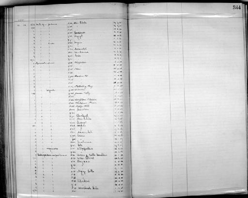 Turdoides jardineii jardinei - Zoology Accessions Register: Aves (Skins): 1904 - 1905: page 344