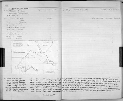Herklotsichthys lossei Wongratana, 1983 - Zoology Accessions Register: Fishes: 1986 - 1994: page 75