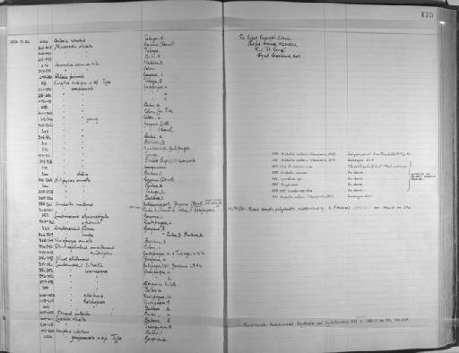 Chloeia viridis Schmarda, 1861 - Zoology Accessions Register: Annelida & Echinoderms: 1924 - 1936: page 175