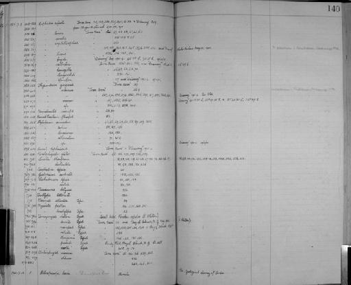 Euphausia frigida Hansen, 1911 - Zoology Accessions Register: Crustacea: 1905 - 1935: page 140