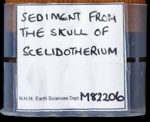 Scelidotherium leptocephalum Owen, 1840 - NHMUK PV M 82206 Sediment Label.tif