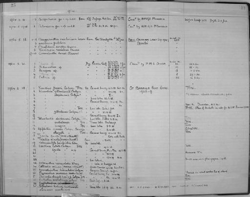 Astraea (Favia) de Blainville, 1820 - Zoology Accessions Register: Coelenterata: 1951 - 1958: page 23