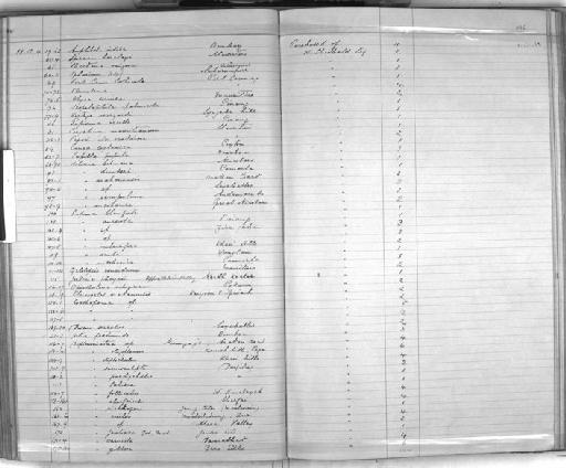 Diplommatina richthofeni Theobald & Stoliczka, 1872 - Zoology Accessions Register: Mollusca: 1884 - 1893: page 136