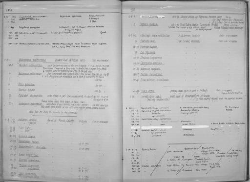 Hoplolatilus starcki Dooley & Paxton, 1974 - Zoology Accessions Register: Fishes: 1971 - 1985: page 68