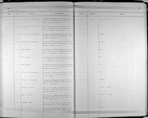 Lecithophyllum botryophorum (Olsson, 1868) - Zoology Accessions Register: Platyhelminth: 1987 - 1993: page 130