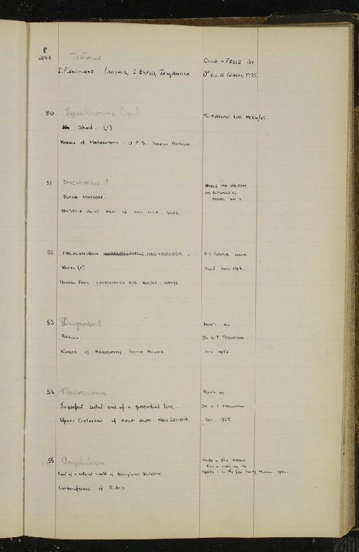 Pachystropheus rhaeticus E. Huene, 1935 - NHM-UK_P_DF118_03_23_0387