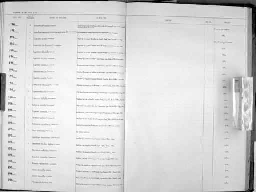 Cypraea reticulata Martyn, 1784 - Zoology Accessions Register: Mollusca: 1962 - 1969: page 159