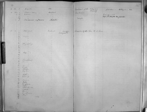 Diplodus cervinus (Lowe, 1838) - Zoology Accessions Register: Mammals: 1854 - 1861: page 247