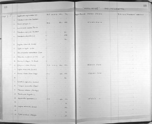 Eunice vittata (Delle Chiaje, 1828) - Zoology Accessions Register: Annelida: 1936 - 1970: page 88