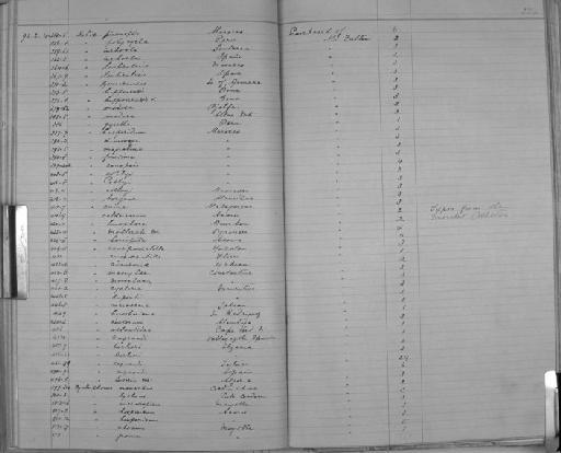 Helix hesperidum Morelet, 1880 - Zoology Accessions Register: Mollusca: 1884 - 1893: page 234