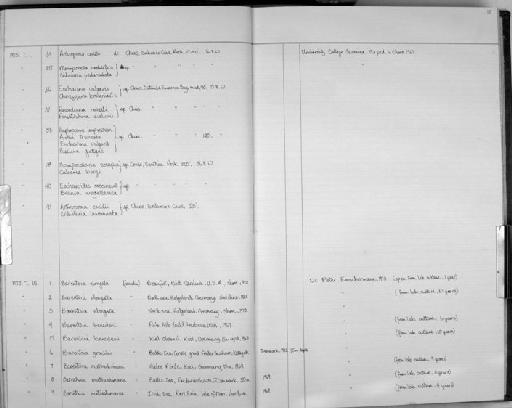 Cribrilaria pedunculata - Zoology Accessions Register: Bryozoa: 1971 - 1986: page 55