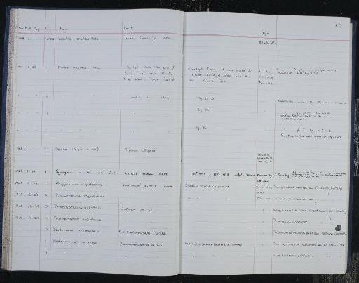 Rhizammina algaeformis Brady, 1879 - NHM-UK_P_DF118_04_14_0125