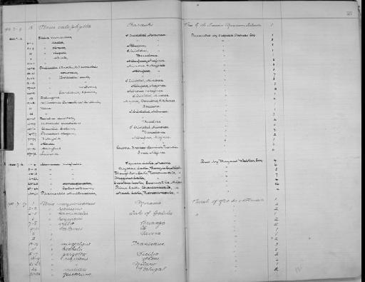 Limnaea emarginata subterclass Tectipleura (Say, 1821) - Zoology Accessions Register: Mollusca: 1900 - 1905: page 26