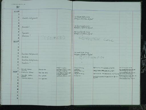 Simpsonodon oxfordensis Kermack et al., 1987 - NHM-UK_P_DF118_03_40_0299